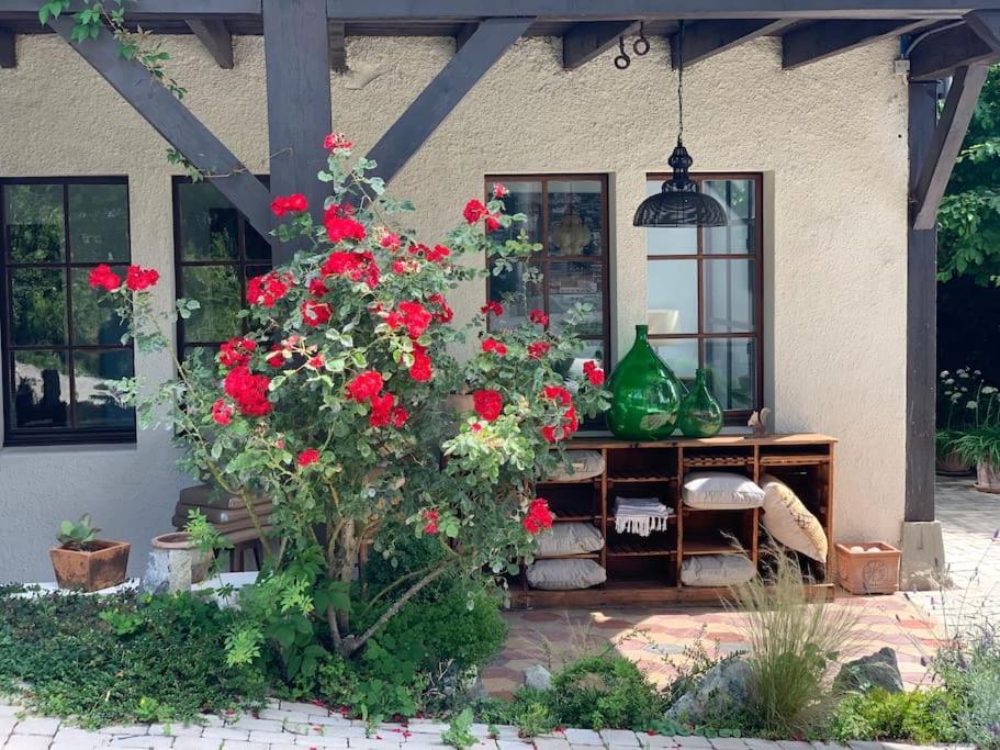 Appartamento 'le Petit Clos Suites'- Charming Getaway On Leman Nyon