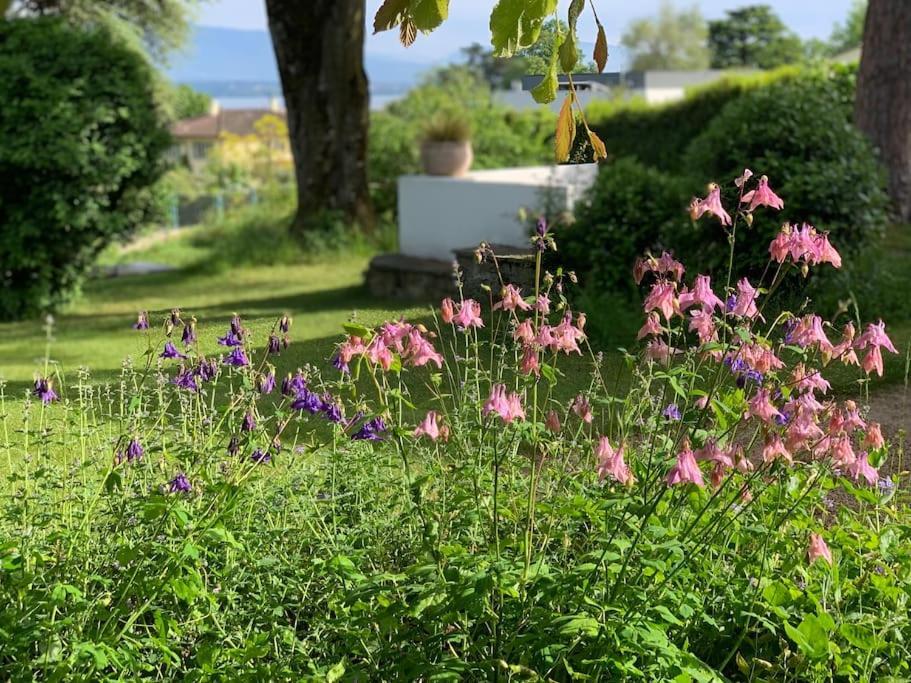 'le Petit Clos Suites'- Charming Getaway On Leman * Nyon